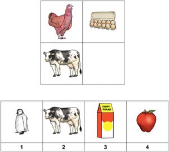 Matrix Reasoning - Elementary School Admissions (Pre-K & Kindergarten)