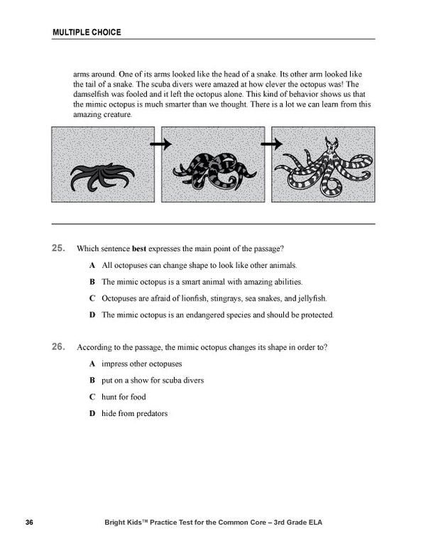 Bright Kids Practice Test for the Common Core -- Third Grade -- English Language Arts -- Second Edition