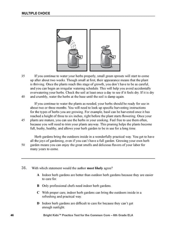 Bright Kids Practice Test for the Common Core -- Sixth Grade -- English Language Arts -- Second Edition
