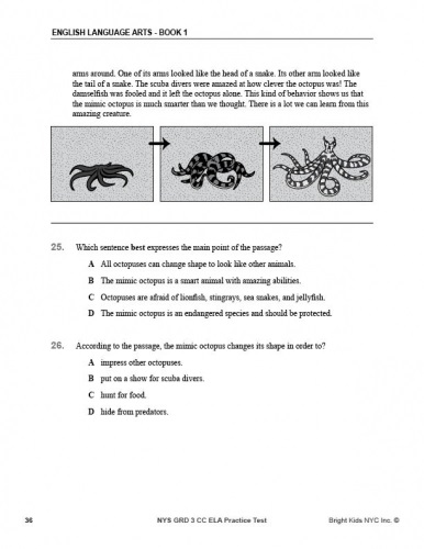 Common Core English Language Arts Practice Test (3rd Grade)